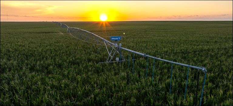 Seward & Stevens County, KS and Beaver County, OK Land Auction - 5,043 Acres M/L (#18479)