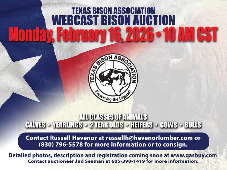 Texas Bison Association Southern Plains Bison Auction