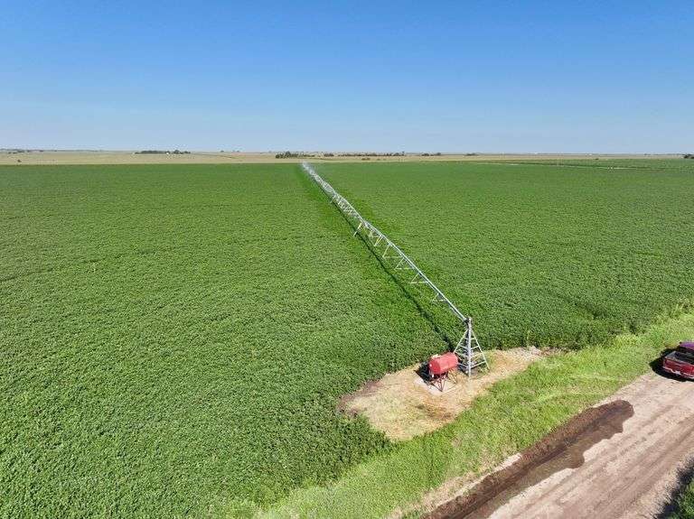 240 Acres Pivot Irrigated Cropland