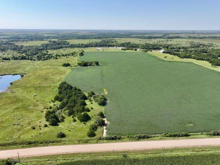 80 Acres Cropland/Pasture/Pond/Trees