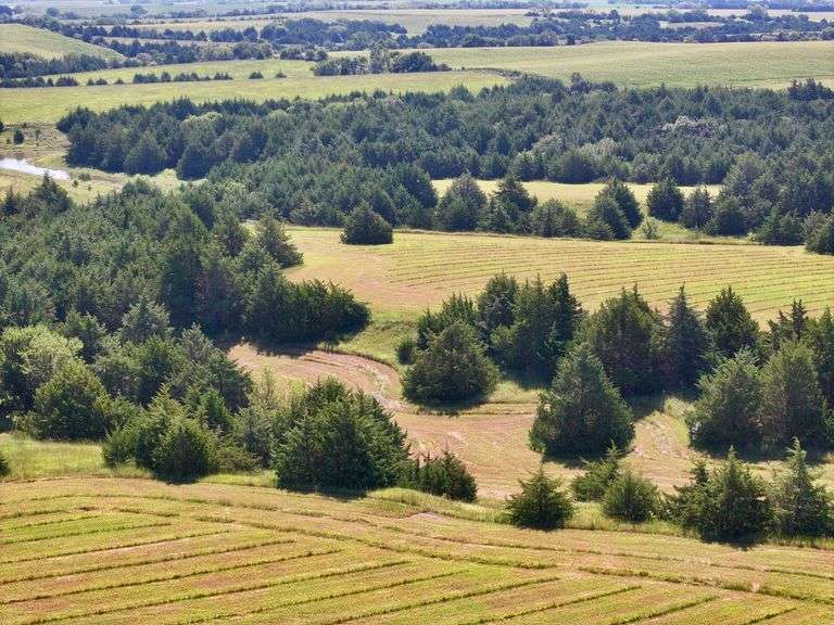 80 Acres Grassland/Habitat/Recreation