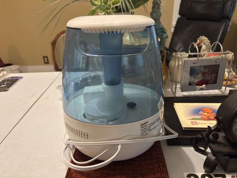 Humidifier, plant, picture frame and more