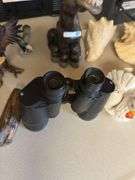 Decorative chickens, donkey, shells and more