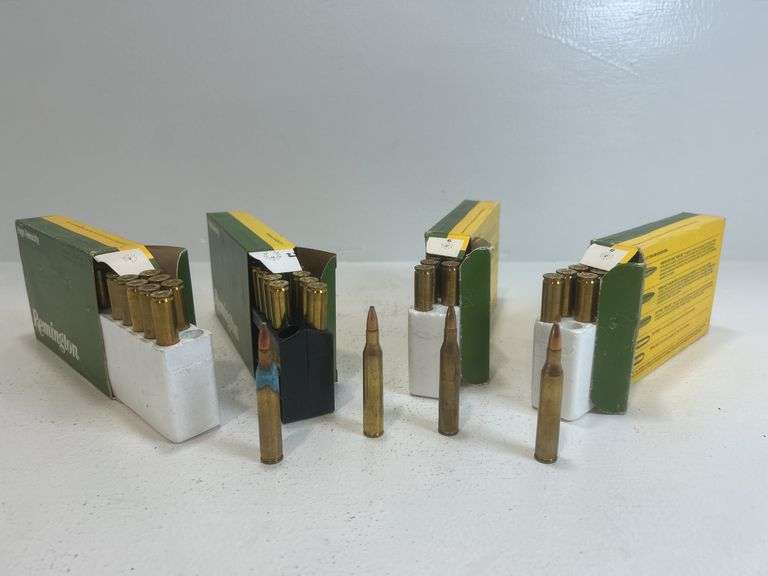 25-06 Remington ammunition