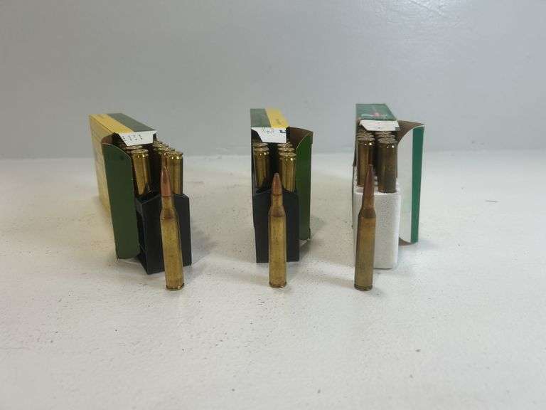 25-06 Remington ammunition