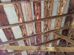 Livestock Shed