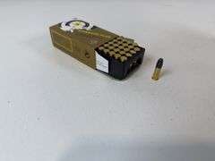 SK Standard Plus 22 LR ammunition