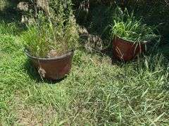 Two large planters