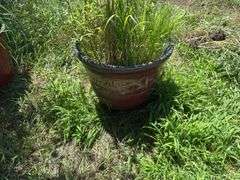 Two large planters