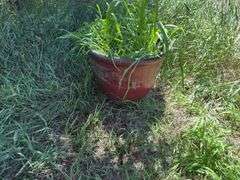 Two large planters