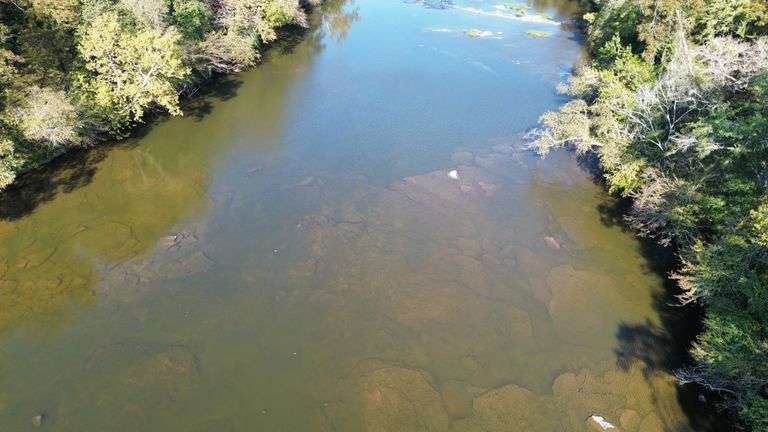 LIVE Auction in Hayden, AL - 25 Acres Locust Fork River Frontage