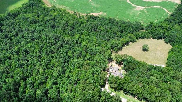 LIVE Auction in Toney, AL - Home and 16+/- Acres