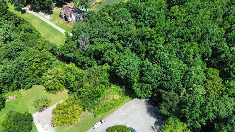 ONLINE Auction in Madison, AL - Treed Lot in Creekwood Subdivision