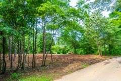 Water View Lot