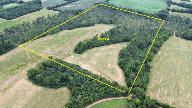 ONLINE Auction in Western Limestone County - 69 Acres in 1 Tract
