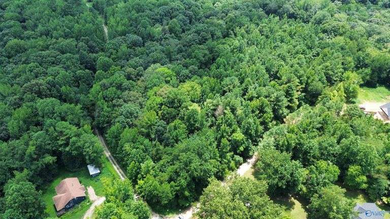 ONLINE Auction in Athens, AL - 3.5 Acres