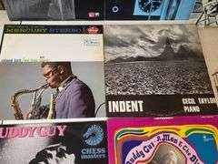 Assorted Vintage Vinyl Records- Buddy Guy, Thelonious Monk, Taj Mahal and more