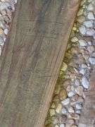 3) Martha Cassels Female Painted Figures on Wood Planks