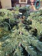 Balsam Hill Flip Tree Lighted Christmas Tree and accessories