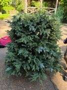 Balsam Hill Flip Tree Lighted Christmas Tree and accessories