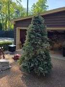 Balsam Hill Flip Tree Lighted Christmas Tree and accessories