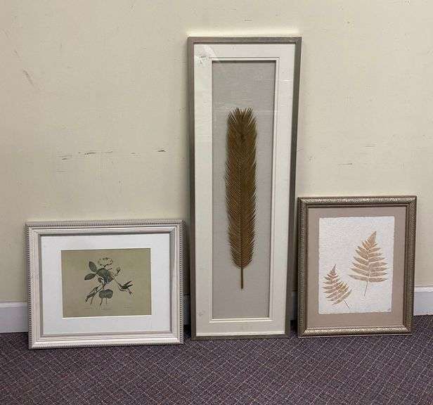 Framed Interia Ferns Deckled Art, Palm Fern, and Hummingbird Botanical Lithograph