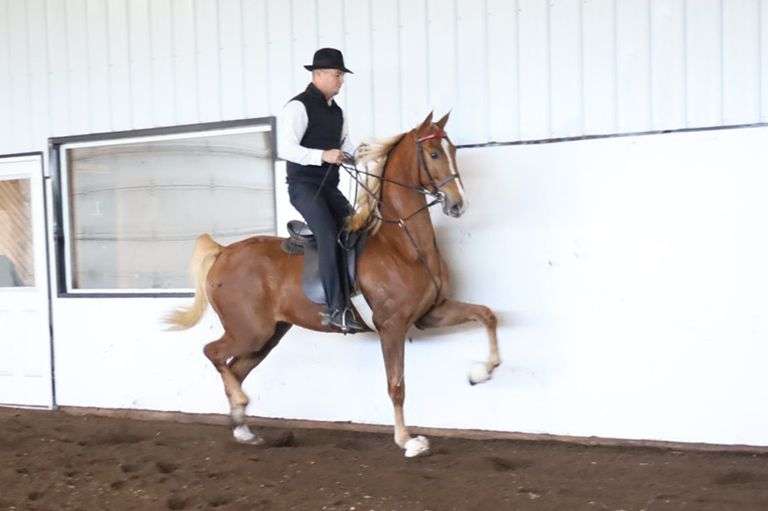 Ridgeview's Cash For Gold