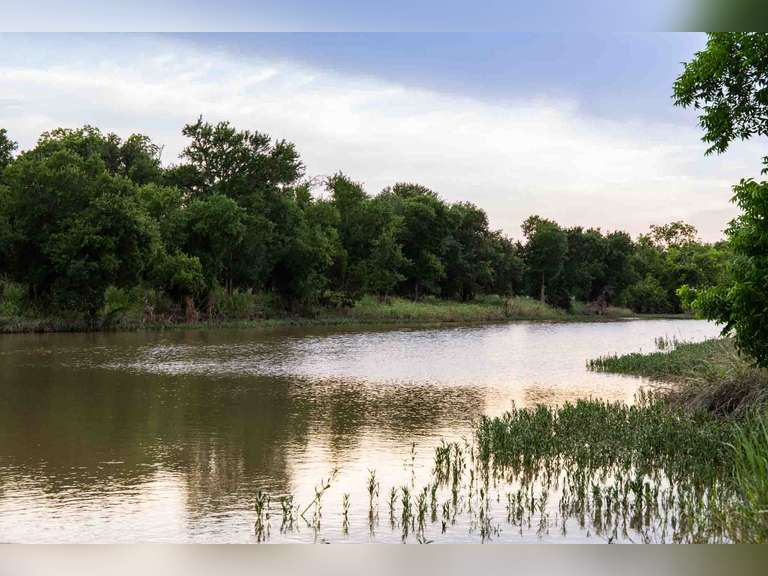 San Saba River Ranch Online-Only Auction