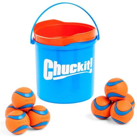 Ultra Ball Dog Toy 8-Pack & Cleaning Bucket, Rubber Fetch Balls Medium
