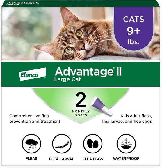 Advantage II Large Cat Vet-Recommended Flea Treatment & Prevention | Cats Over 9 lbs. | 2-Month Supp