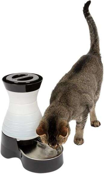 PetSafe Healthy Pet Water Station - Small, 64 oz Capacity - Gravity Pet Water Fountain