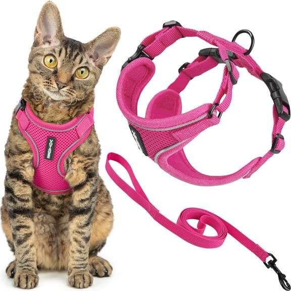 Voyager Escape-Proof Step-in Lock Cat Harness & 5ft Neoprene-Handle Leash Set All-Weather Mesh with 