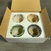 SE SUN-E Sun-E Modern Style Marbling Ceramic Flower Pot Succulent/Cactus Planter Pots Container Bons