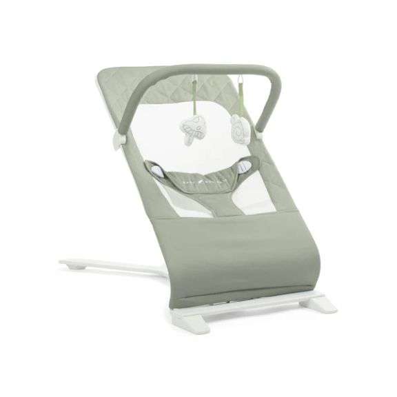 Alpine Organic Deluxe Portable Bouncer | Organic Sage
