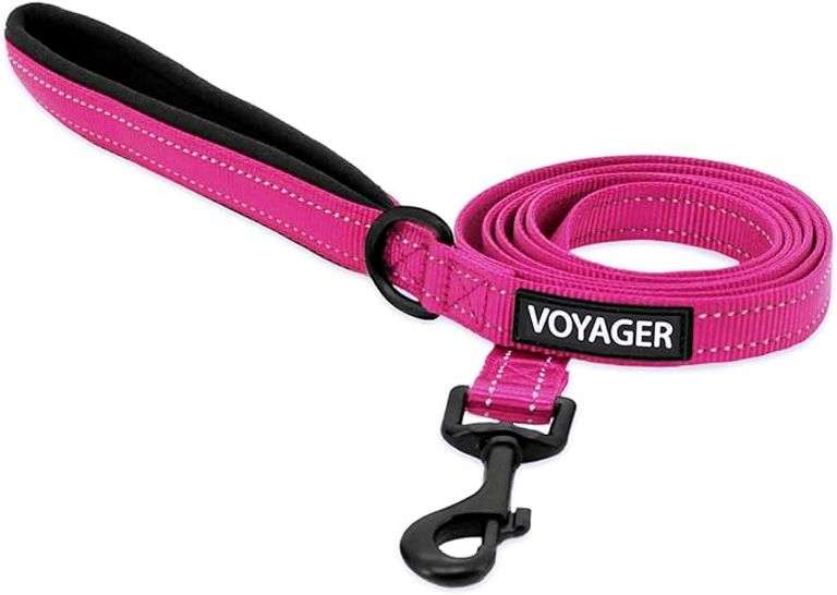 Voyager Reflective Dog Leash with Neoprene Handle, 6ft Long, Supports Small