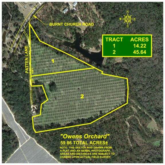 59± Acres – Owens Orchard - Mini Farm & Estate Potential - Irrigated Pecan Orchard with Wooded Uplands - Strong Investment Appeal