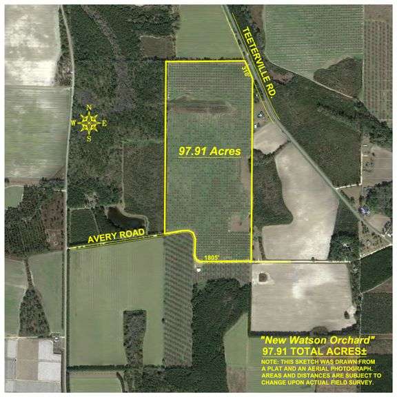 97± Acres – New Watson Orchard - Irrigated Pecan Orchard with Strong Varieties - Mini-Farm & Homesite Potential