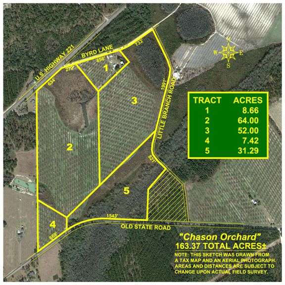 163± Acres - Chason Orchard - Ideal for Residential Homesites, Estate Lots & Expansion Opportunities - Irrigated Orchard with Home, Ample Frontage & Wooded Tracts