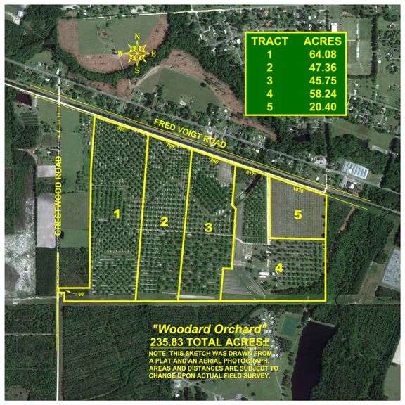 235± Acres – Woodard Orchard - Irrigated Pecan Orchard with Pond,  Homes, Buildings & Improvements - Prime Development Potential