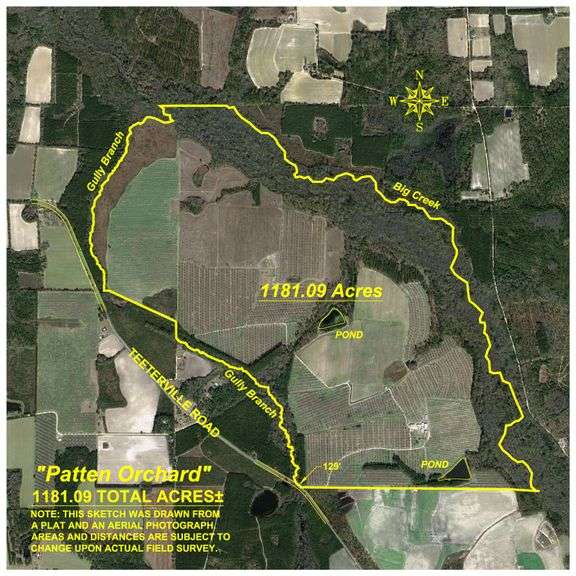 1,181± Acres – Patten Orchard - Premium Irrigated Pecan Operation - Long-Term Orchard Income w/ Improvements - Merchantable Timber Stand & Creek Frontage