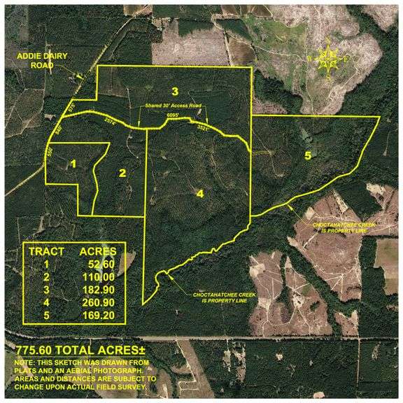 King Tract - 775± Total Acres - Premium Plantation Tract - Large Timber Investment - Choctahatchee Creek Frontage - Offered Divided & As A Whole