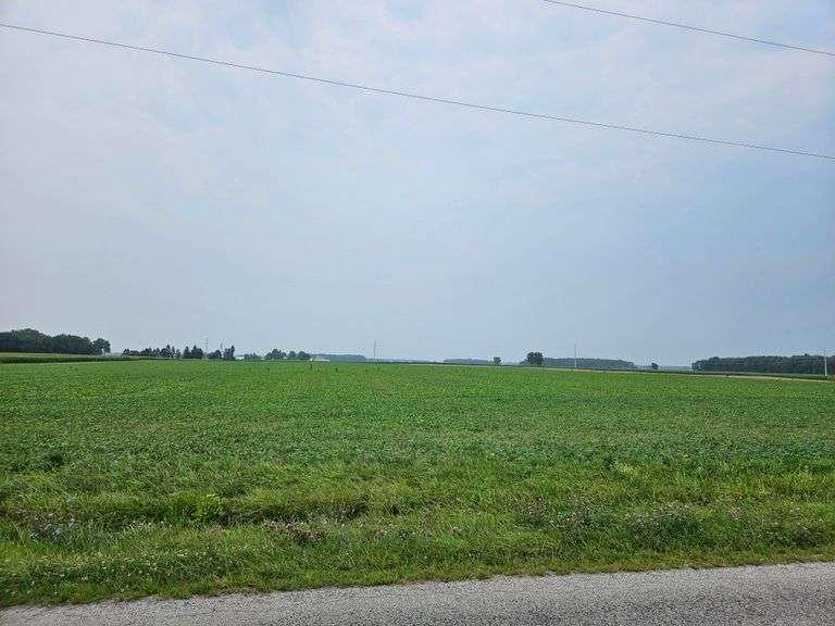 Tract Three: 76.965 Acres +/-