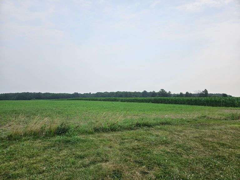 Tract Two: 79.316 Acres +/-